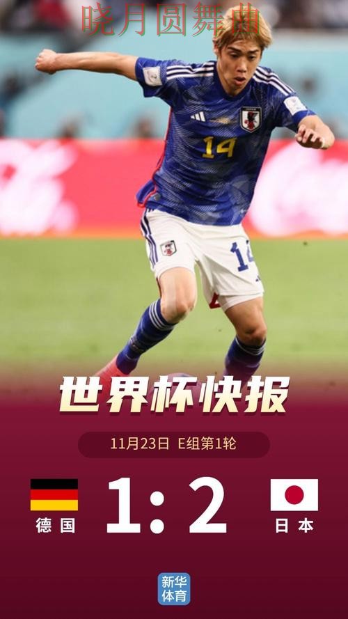 世界杯投注平台热门内容为什么这么多人搜索